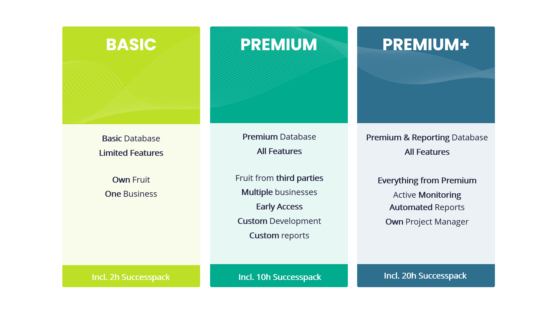 Blog Databases EN.png